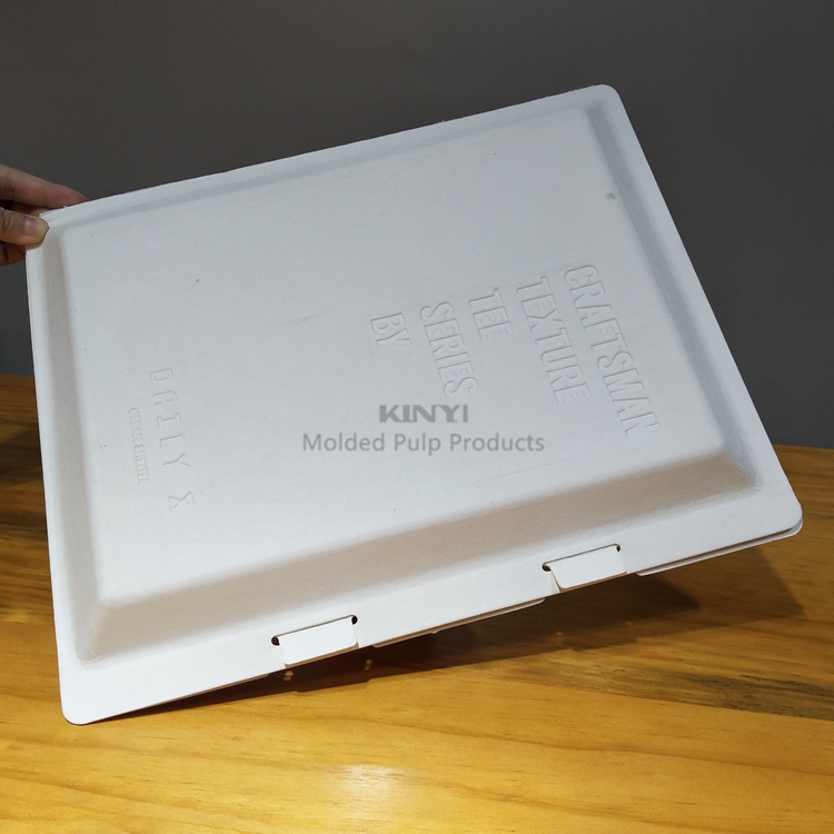 Disposable Exquisite Paper Pulp Packaging Box